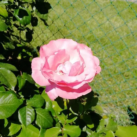 Casa Di Vania * San Feliciano