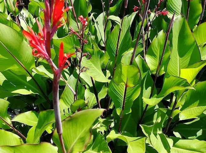 Ubytování v soukromí Casa Di Vania *