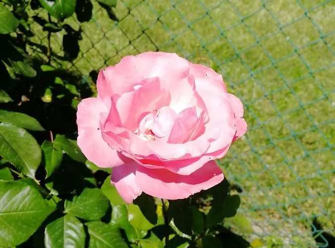 Casa Di Vania * San Feliciano