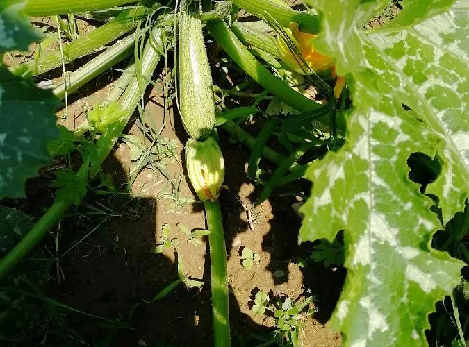 Casa Di Vania Ortsteil San Feliciano