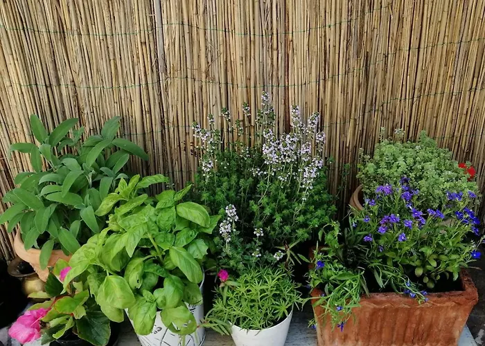 Casa Di Vania Ortsteil San Feliciano